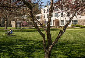 Photo of a campus lawn. Link to Eileen Spear's Story